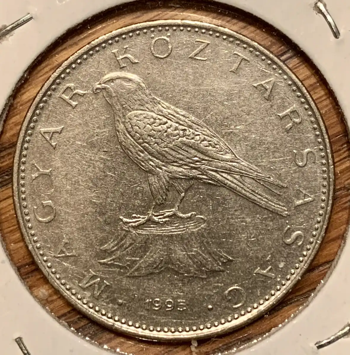Around-The-World-With-Coins---A-Coin-Geography-Game